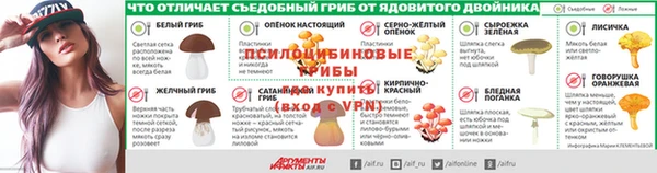 хмурый Белокуриха