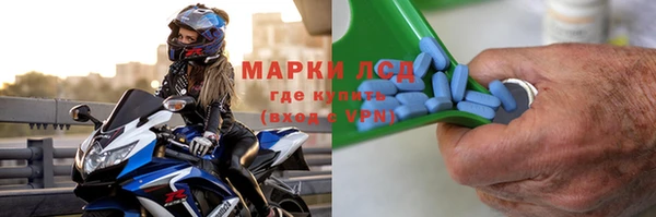 хмурый Белокуриха