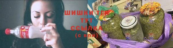 хмурый Белокуриха