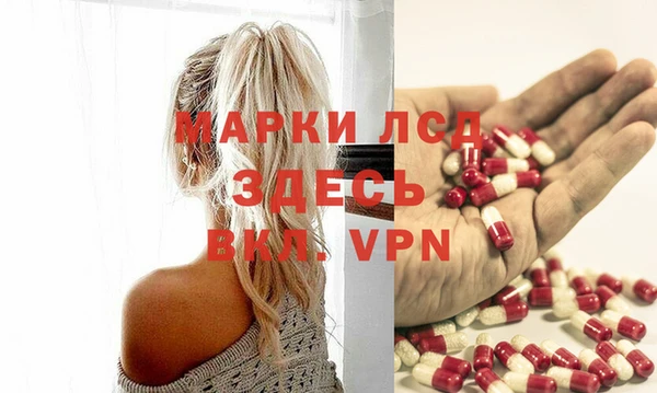 хмурый Белокуриха
