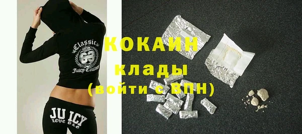 хмурый Белокуриха