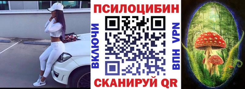 купить  цена  Кудымкар  Галлюциногенные грибы Psilocybine cubensis 